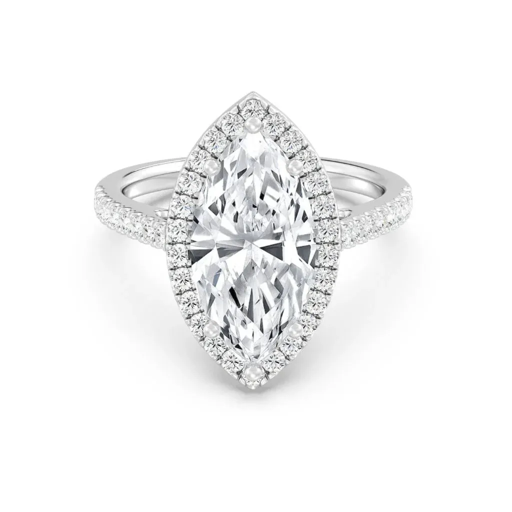 3ct Solitaire Ring Pavé Band with Halo [1]