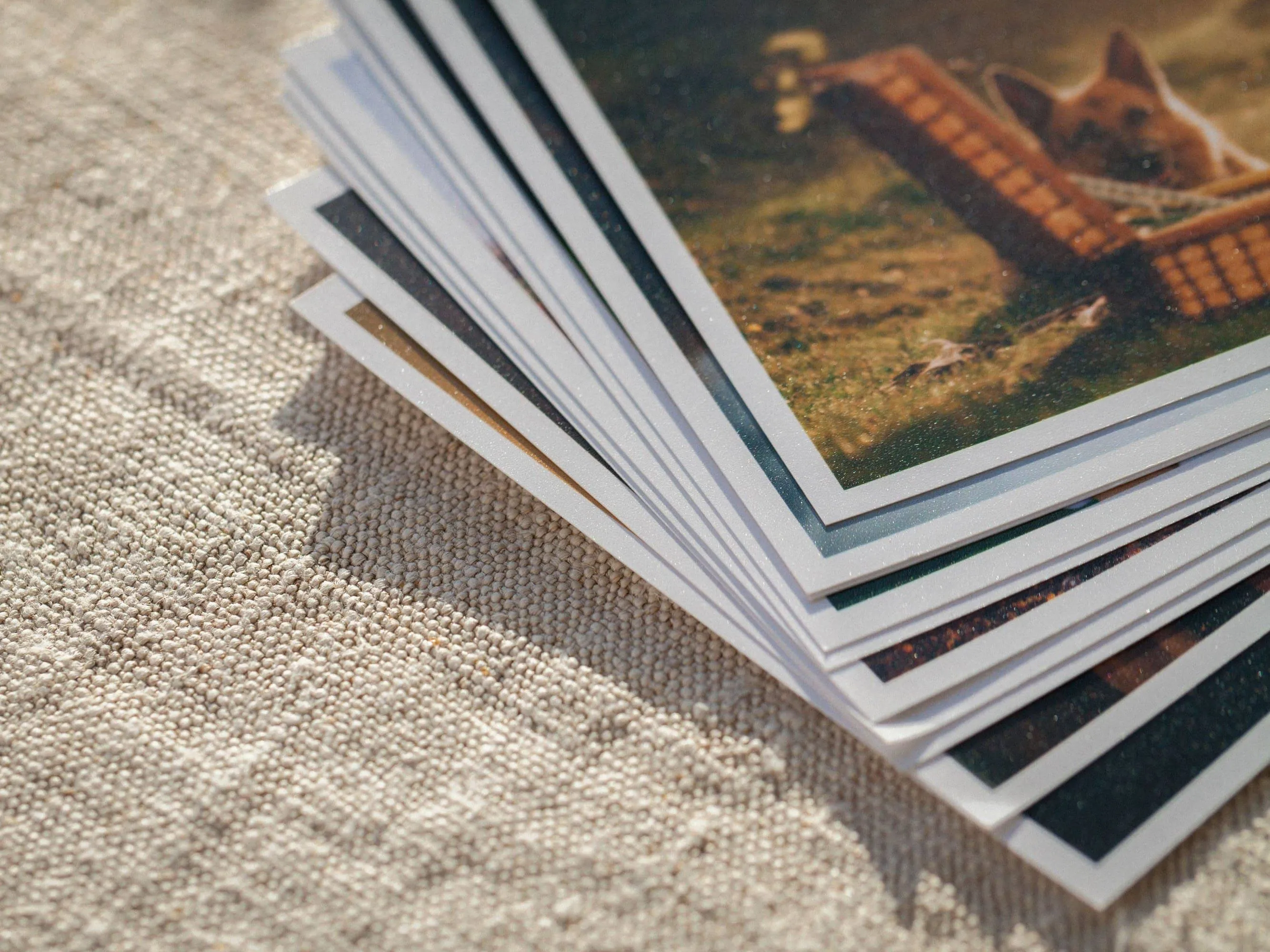 50  Professional Print Your Digital Photo (Matte Paper)