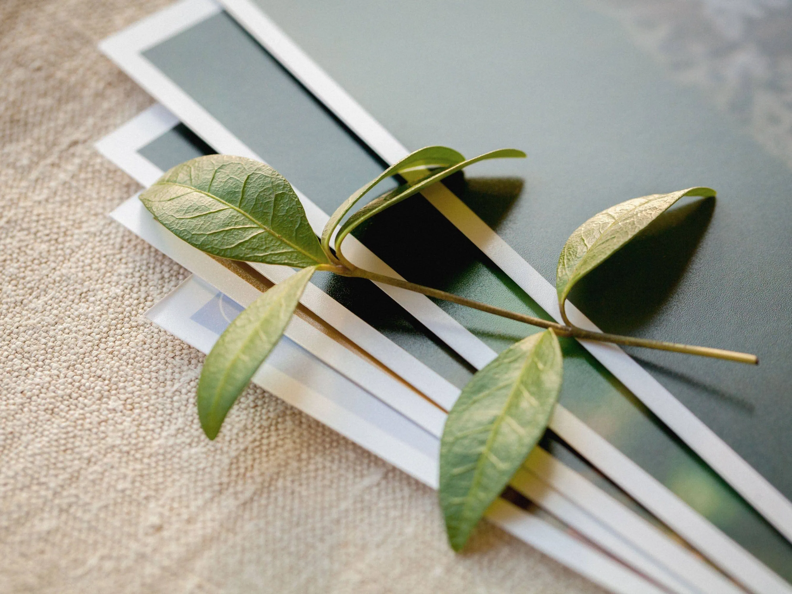 50  Professional Print Your Digital Photo (Matte Paper)