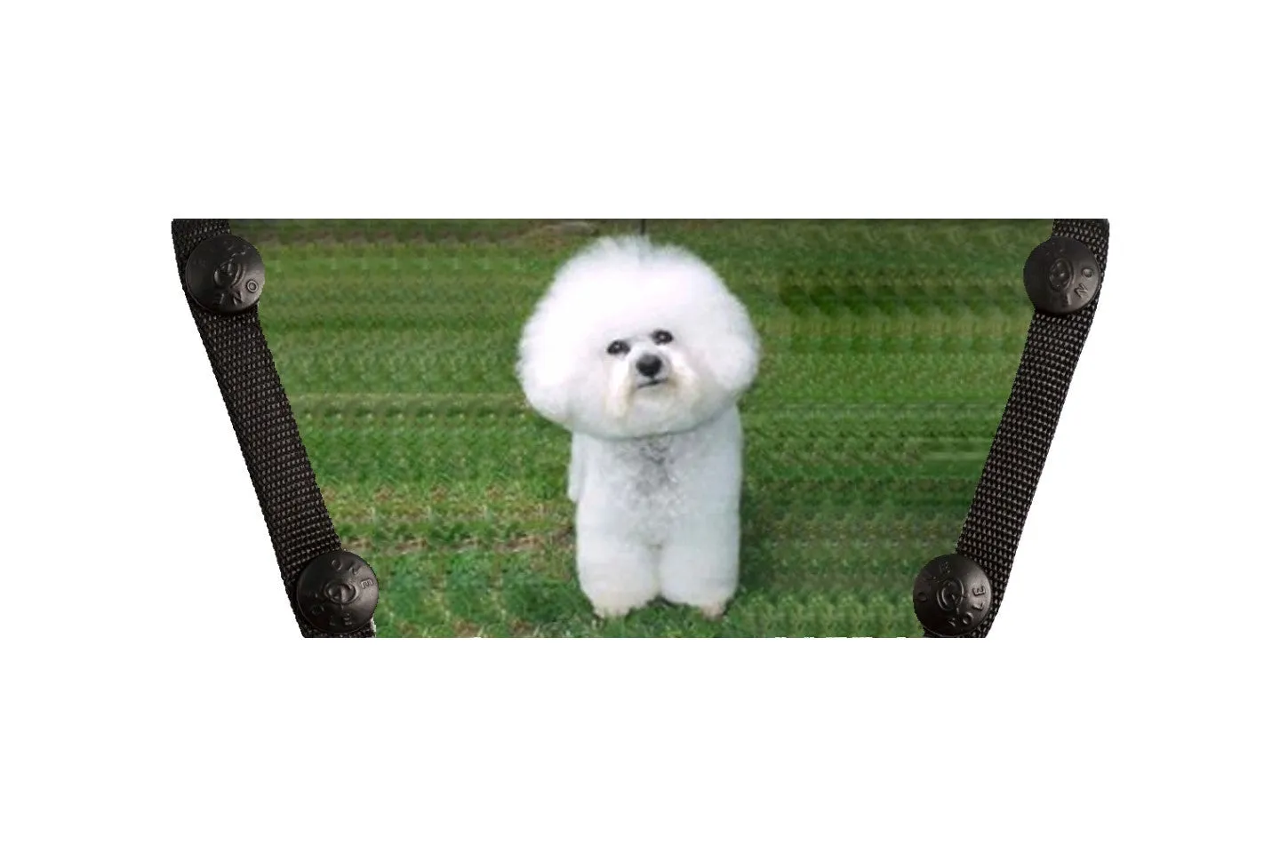 Bichon Frise SS290