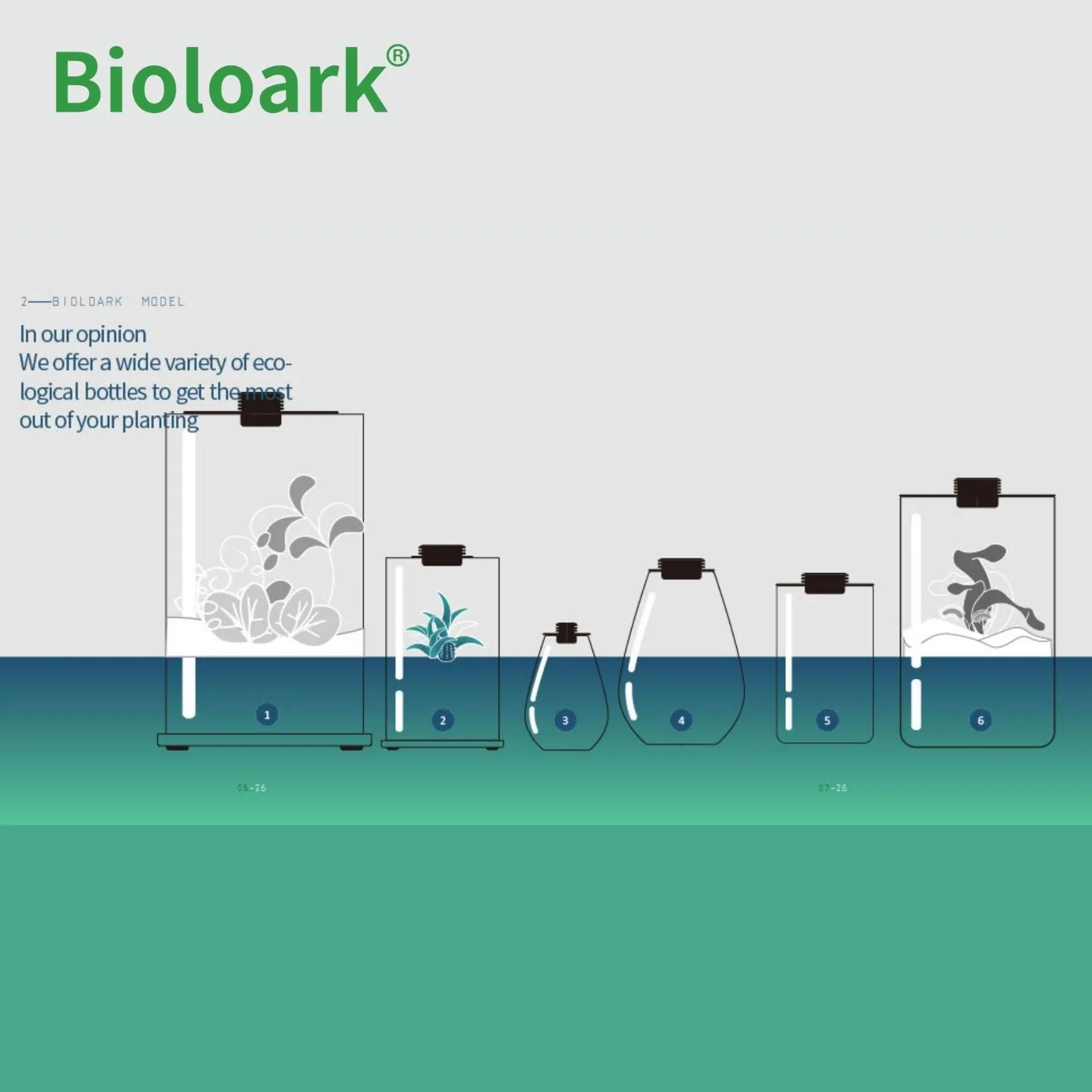 BIOLOARK - Cylindrical Terrarium (ZD-150 / ZD-200)