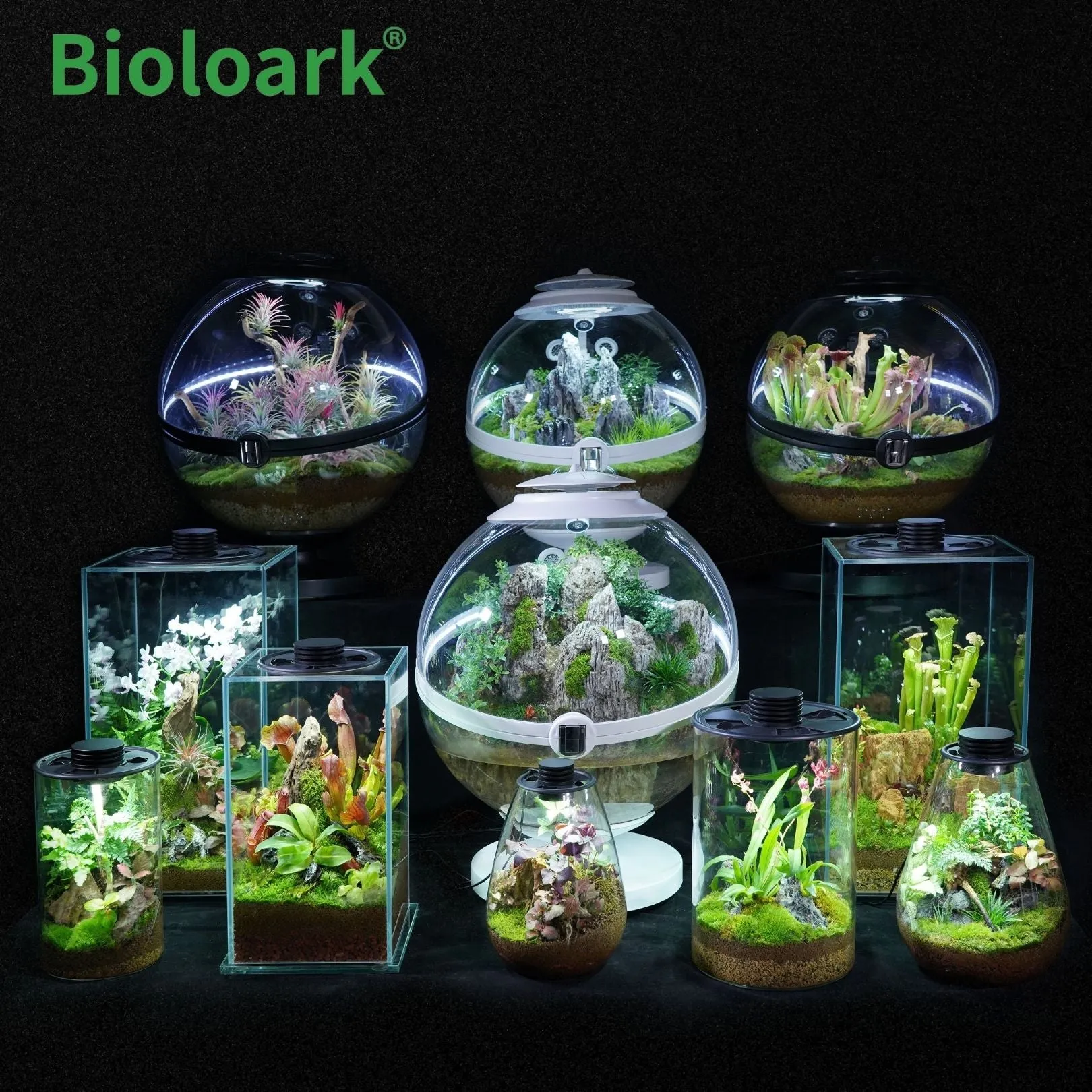 BIOLOARK - Cylindrical Terrarium (ZD-150 / ZD-200)