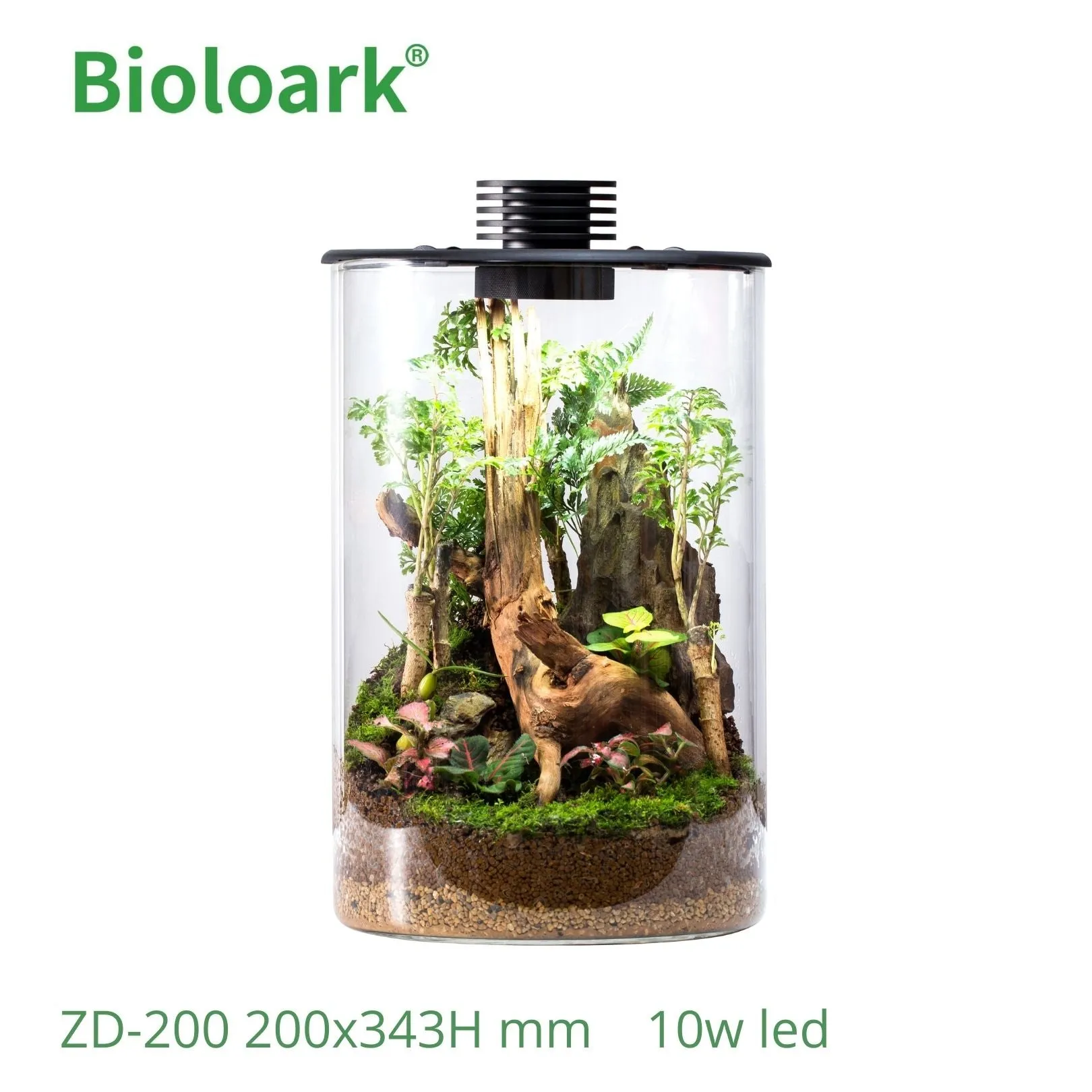 BIOLOARK - Cylindrical Terrarium (ZD-150 / ZD-200)
