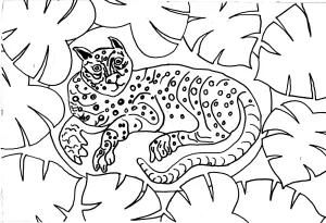 Cape Ann Tiger