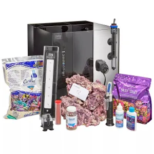 Clownfish & Anemone Aquarium Kit - Hello Reef