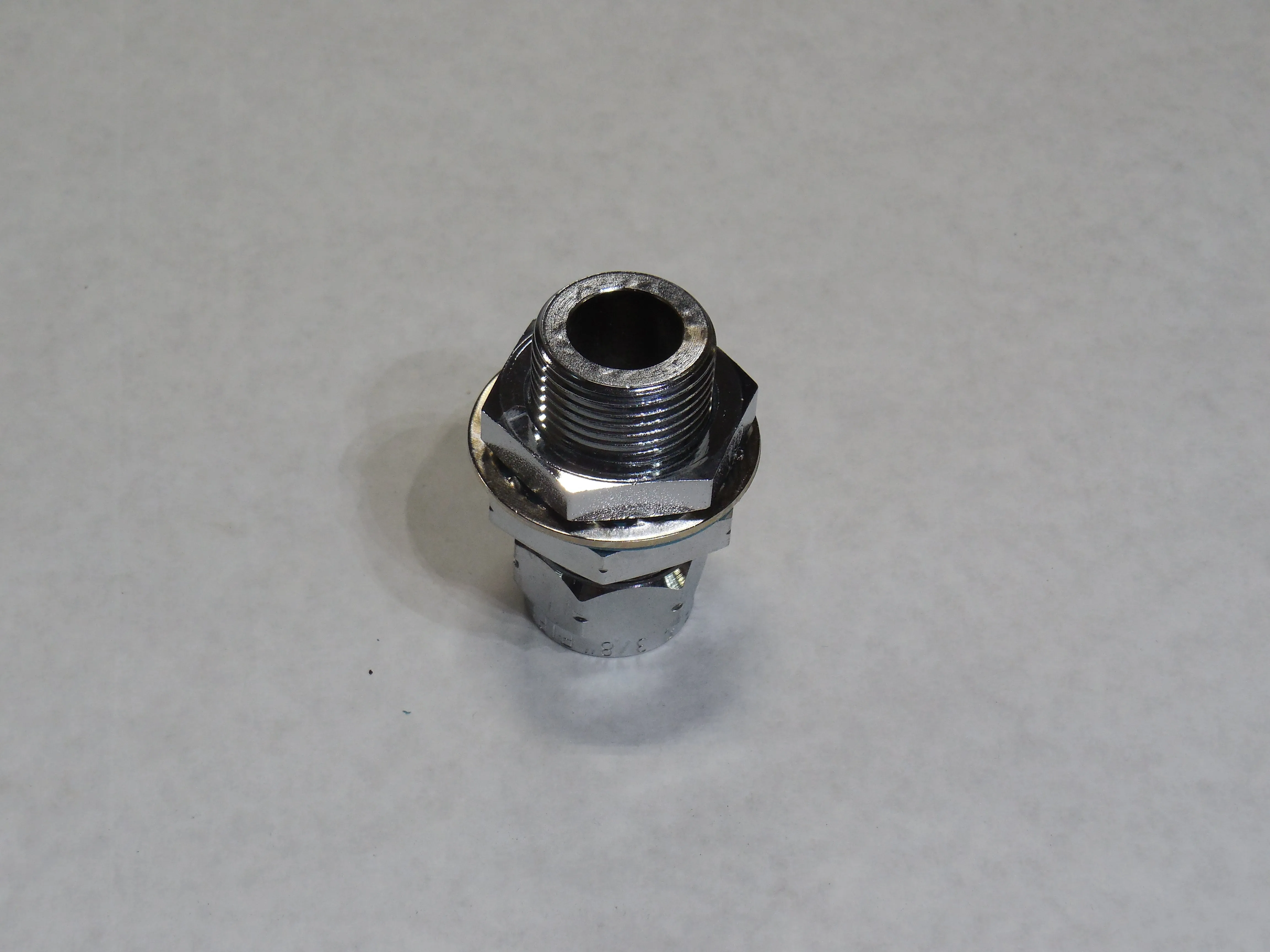 Evergreen Compression Seal