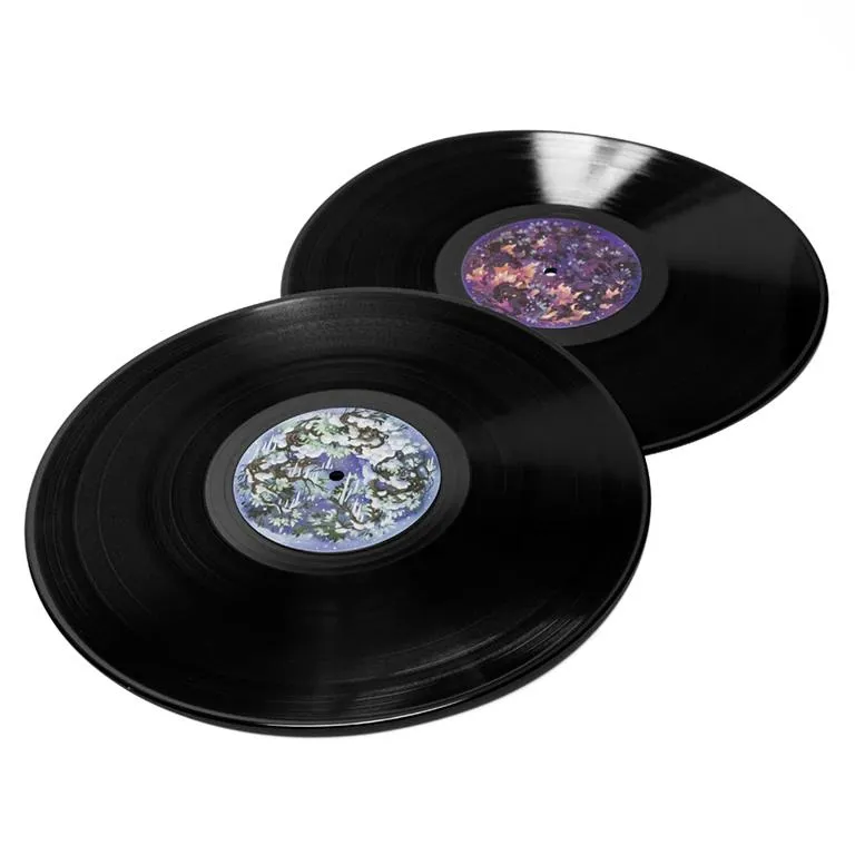 Ori and the Blind Forest (Original Soundtrack) - Gareth Coker (2xLP Vinyl Record)