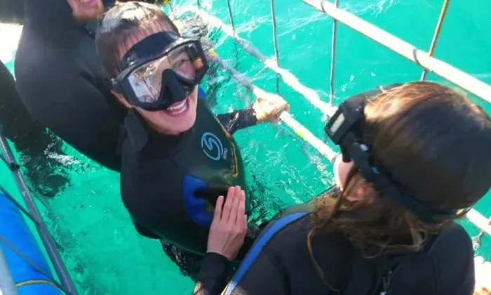 Shark cage diving experience including breakfast, lunch and snacks