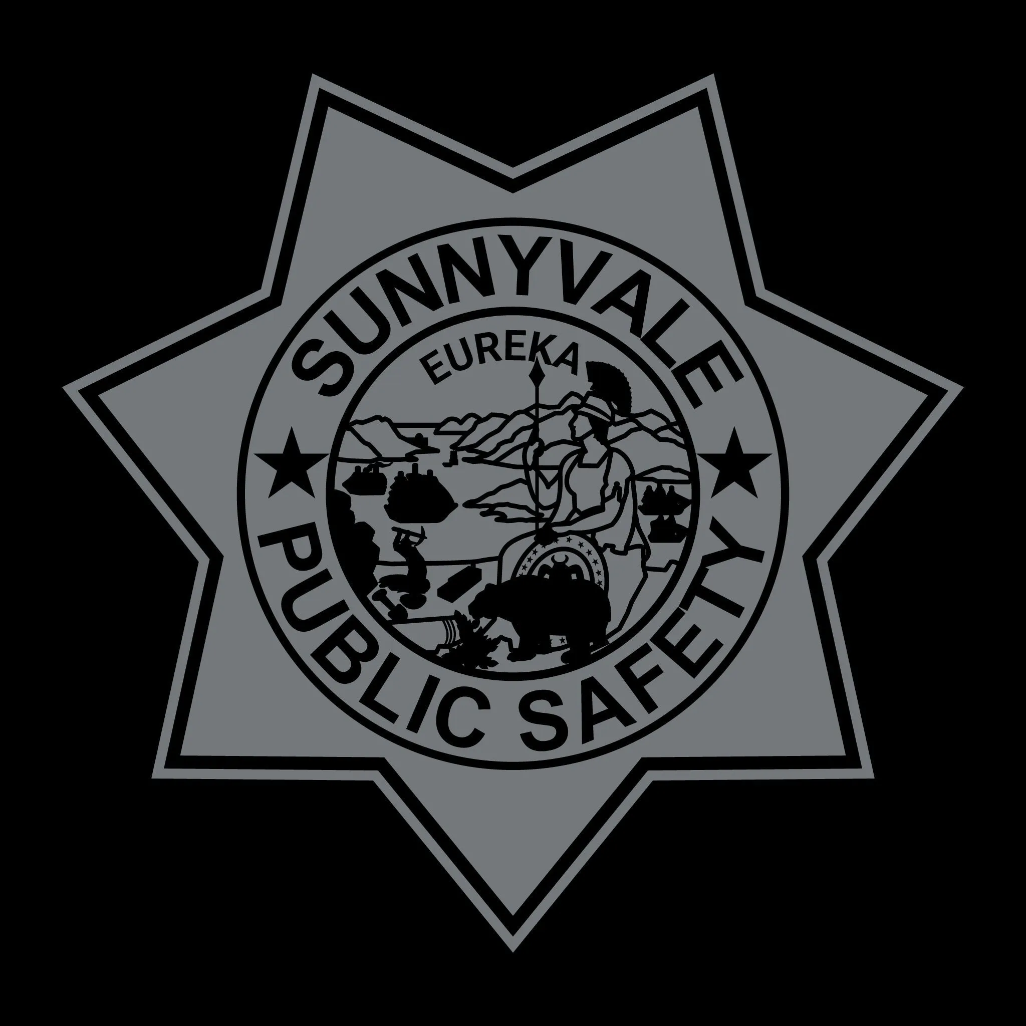 [SUNNYVALE DPS] Gang Enf Performance Hoodie [BLACK]