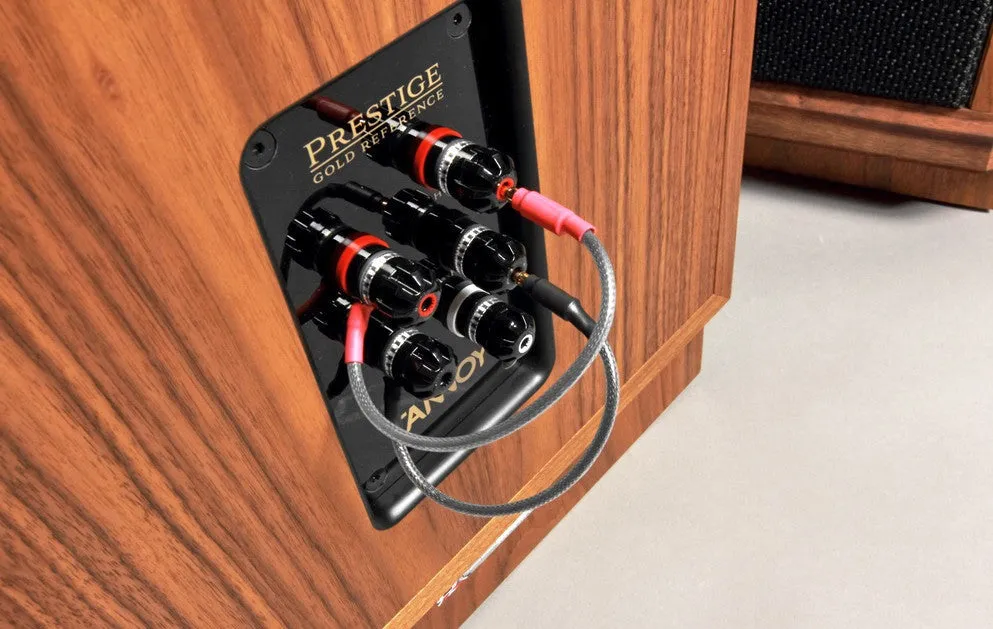 TANNOY KENSINGTON GR, grindinės garso kolonėlės