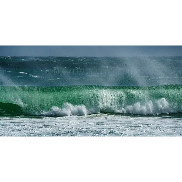 Wave Curl